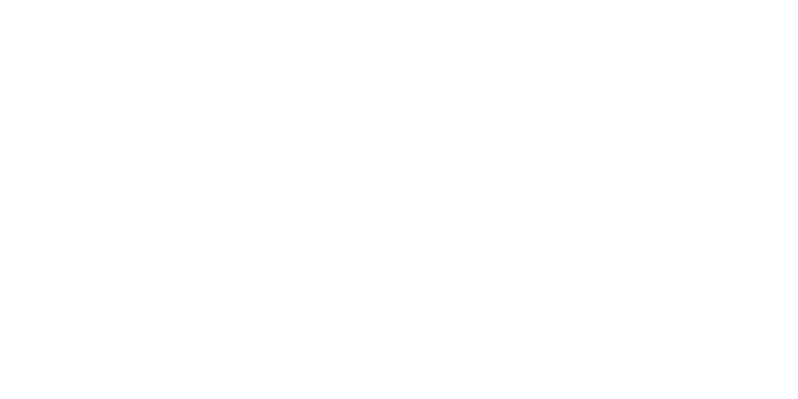 risk logo white